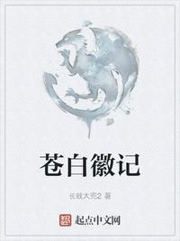 苍白徽记 苍白徽记