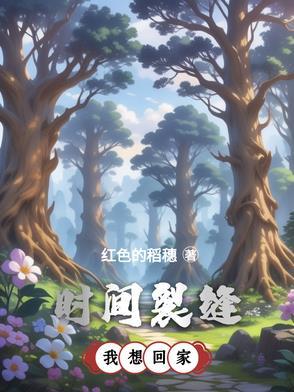 时间裂缝:我想回家 时间裂缝:我想回家